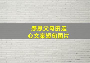 感恩父母的走心文案短句图片