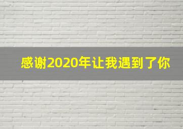 感谢2020年让我遇到了你