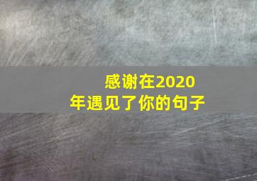 感谢在2020年遇见了你的句子