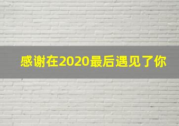 感谢在2020最后遇见了你