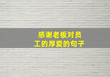 感谢老板对员工的厚爱的句子