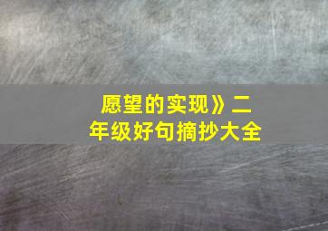 愿望的实现》二年级好句摘抄大全