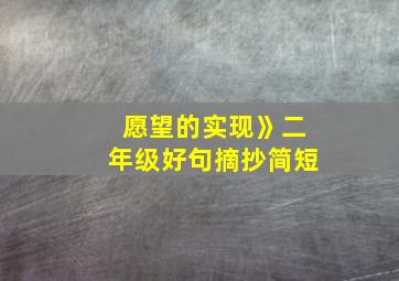 愿望的实现》二年级好句摘抄简短