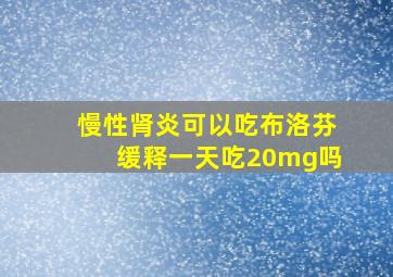 慢性肾炎可以吃布洛芬缓释一天吃20mg吗