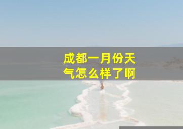 成都一月份天气怎么样了啊