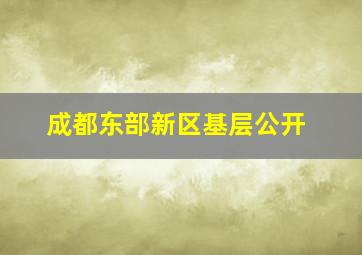 成都东部新区基层公开