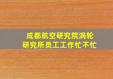 成都航空研究院涡轮研究所员工工作忙不忙