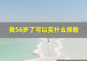 我56岁了可以买什么保险