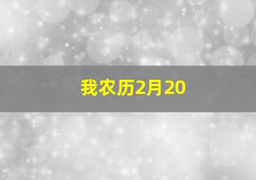 我农历2月20