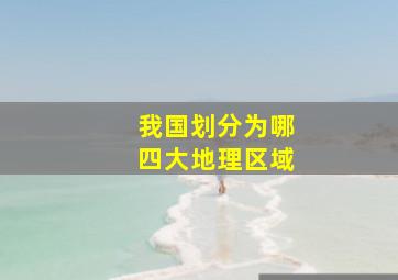 我国划分为哪四大地理区域