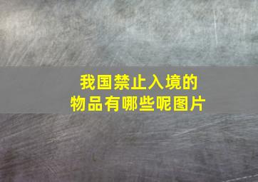 我国禁止入境的物品有哪些呢图片