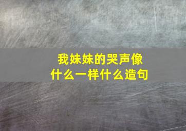 我妹妹的哭声像什么一样什么造句