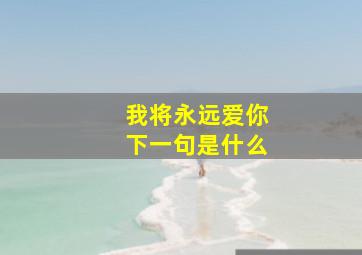 我将永远爱你下一句是什么