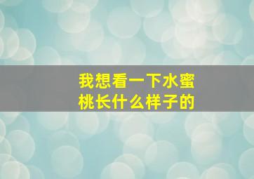 我想看一下水蜜桃长什么样子的