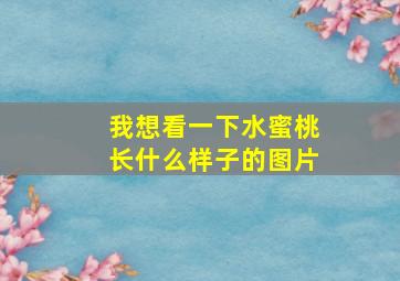 我想看一下水蜜桃长什么样子的图片