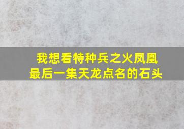 我想看特种兵之火凤凰最后一集天龙点名的石头