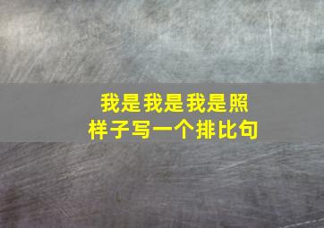 我是我是我是照样子写一个排比句