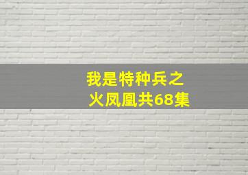 我是特种兵之火凤凰共68集