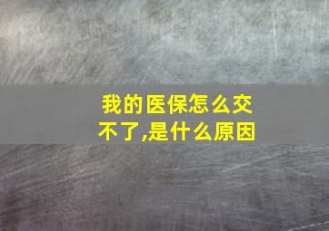 我的医保怎么交不了,是什么原因