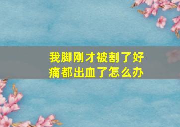 我脚刚才被割了好痛都出血了怎么办