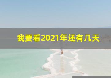 我要看2021年还有几天