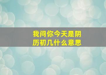 我问你今天是阴历初几什么意思