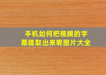 手机如何把视频的字幕提取出来呢图片大全