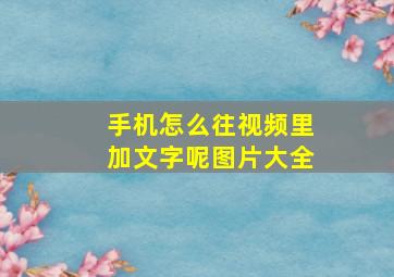 手机怎么往视频里加文字呢图片大全