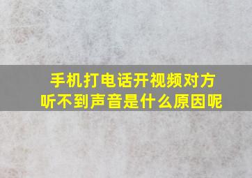 手机打电话开视频对方听不到声音是什么原因呢