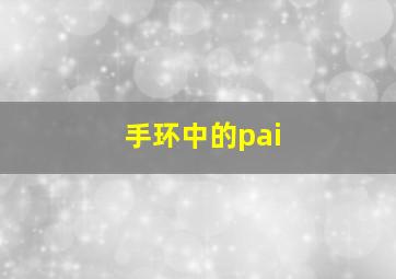 手环中的pai