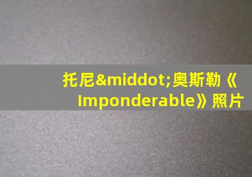 托尼·奥斯勒《Imponderable》照片