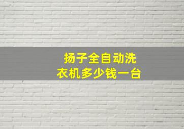 扬子全自动洗衣机多少钱一台