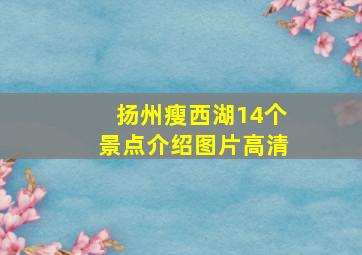 扬州瘦西湖14个景点介绍图片高清