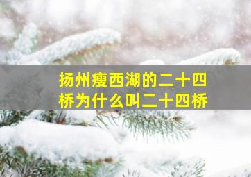 扬州瘦西湖的二十四桥为什么叫二十四桥