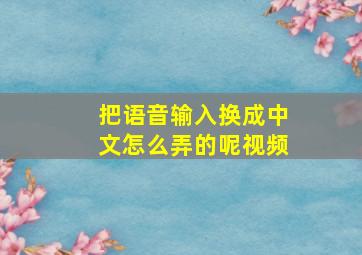 把语音输入换成中文怎么弄的呢视频