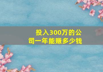 投入300万的公司一年能赚多少钱