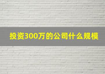 投资300万的公司什么规模