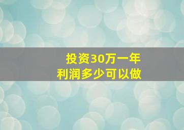 投资30万一年利润多少可以做