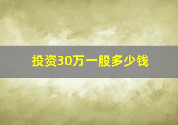 投资30万一股多少钱