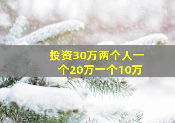 投资30万两个人一个20万一个10万