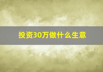 投资30万做什么生意