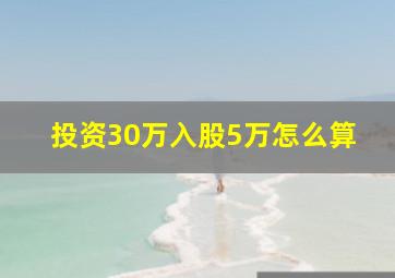 投资30万入股5万怎么算