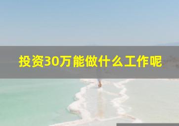 投资30万能做什么工作呢