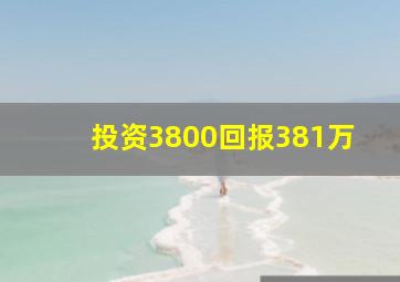 投资3800回报381万