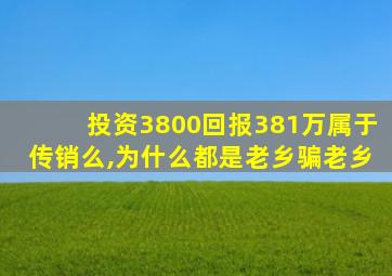 投资3800回报381万属于传销么,为什么都是老乡骗老乡