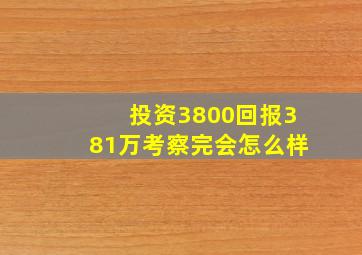 投资3800回报381万考察完会怎么样