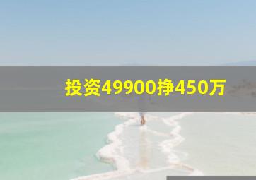 投资49900挣450万