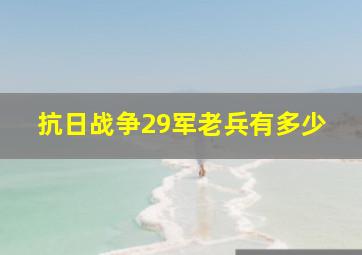 抗日战争29军老兵有多少