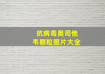 抗病毒奥司他韦颗粒图片大全