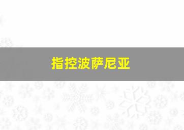 指控波萨尼亚